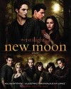 Mark Cotta Vaz - New Moon: Kulisszatitkok