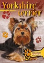  - Yorkshire terrier