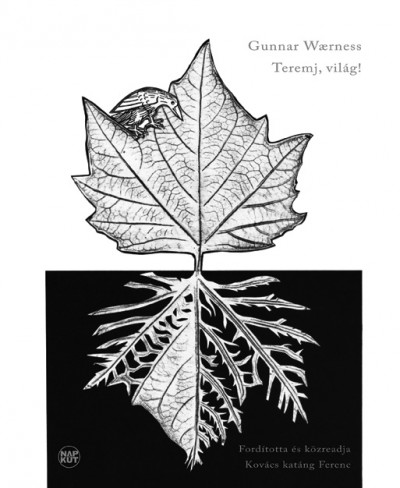 Gunnar Waerness - Teremj, vil�g!