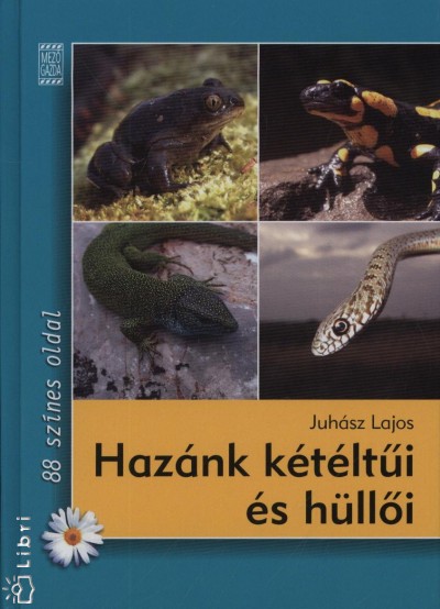 Juh�sz Lajos - Haz�nk k�t�lt�i �s h�ll�i
