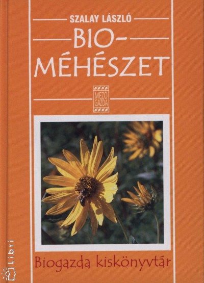 kép