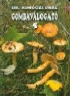 Dr. Rim�czi Imre - Gombav�logat� 5.