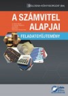 Baricz Rezs� - Dr. Gyenge Magdolna - Jo� �gnes - Martin K�ra - Reizingern� Ducsai Anita - Sz�mvitel alapjai - Feladatgy�jtem�ny