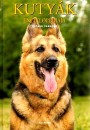 Esther Verhoef - Kuty�k enciklop�di�ja