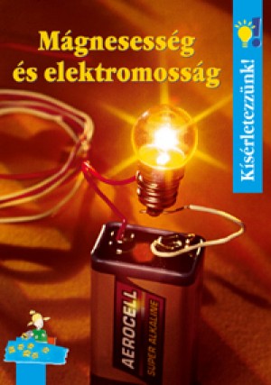 Ulrike Berger - M�gnesess�g �s elektromoss�g