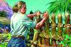 Daniel Defoe - Robinson