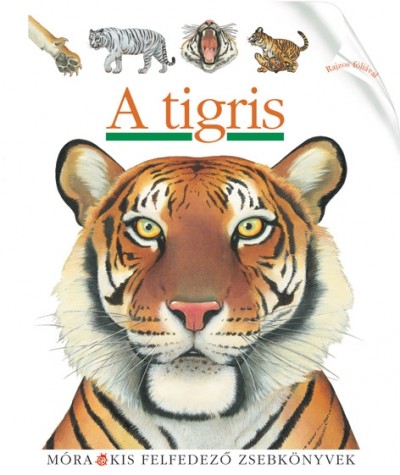  - A tigris