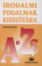 B�rdos L�szl� - Szab� B. Istv�n - Dr. Vasy G�za - Irodalmi fogalmak kissz�t�ra
