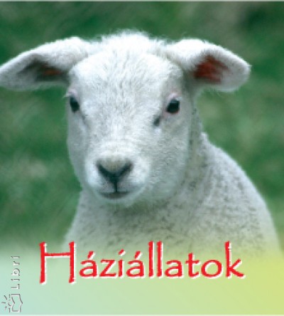 Fekete Annam�ria - H�zi�llatok