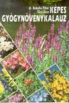Babulka P�ter - K�sa G�za - K�pes gy�gyn�v�nykalauz