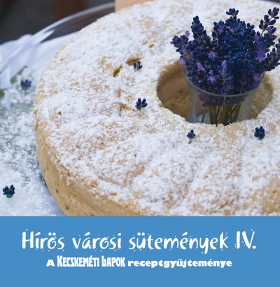 Ha�g Zal�n(Szerk.) - H�r�s v�rosi s�tem�nyek IV.