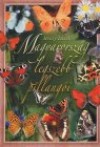 B�csy L�szl� - Magyarorsz�g legszebb pillang�i