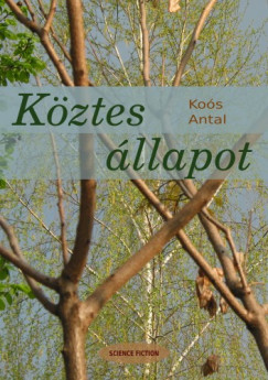 Kos Antal - Kztes llapot