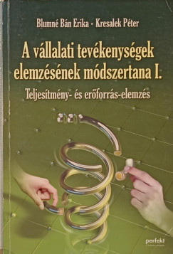 Blumn Bn Erika - Kresalek Pter - A vllalati tevkenygek elemzsnek mdszertana I.