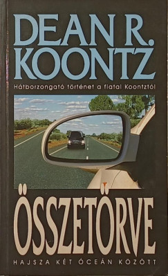 Dean R. Koontz - Összetörve