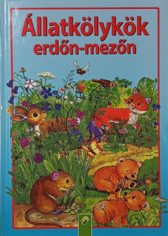 llatklykk erdn-mezn