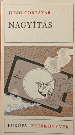 Julio Cort�zar - Nagy�t�s