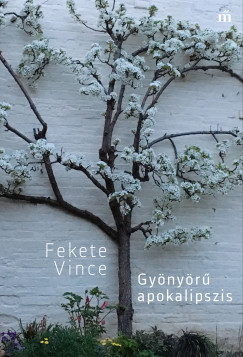 Fekete Vince - Gynyr apokalipszis