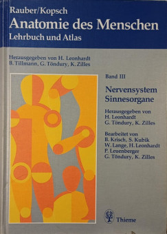 Anatomie des Menschen - Nervensystem, Sinnesorgane