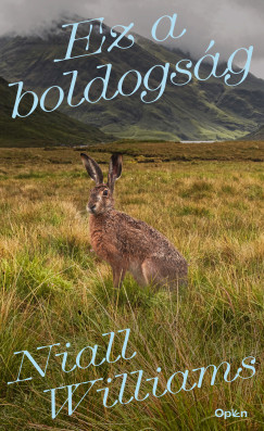 Niall Williams - Ez a boldogság