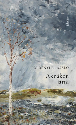 F�ld�nyi F. L�szl� - Akn�kon j�rni