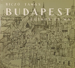 Bicz� Tam�s - Budapest
