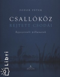 Fodor Péter - Csallóköz rejtett csodái