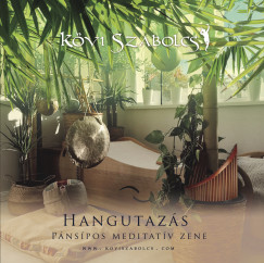 Kvi Szabolcs - Hangutazs, pnspos meditatv zene - karton tokos - CD