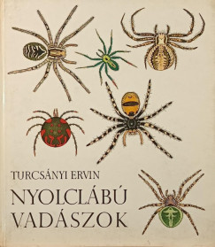 Turcsányi Ervin - Nyolclábú vadászok