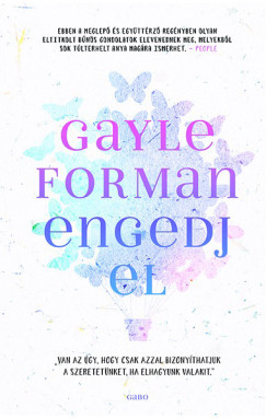 Gayle Forman - Engedj el