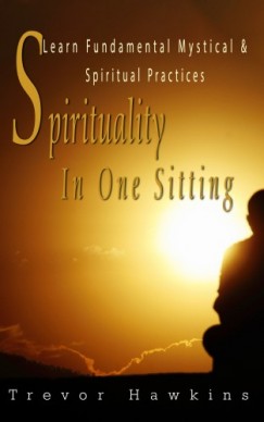 Trevor Hawkins - Spirituality In One Sitting