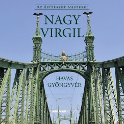 Dr. Kissn Havas Gyngyvr - Nagy Virgil