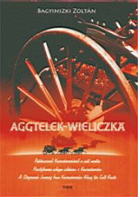 Bagyinszki Zolt�n - Aggtelek - Wieliczka