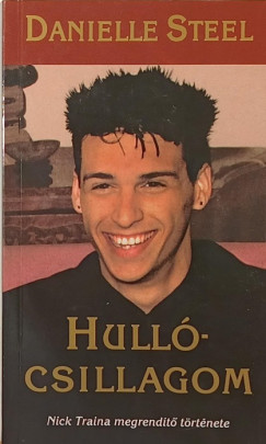 Danielle Steel - Hullócsillagom