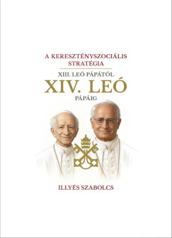 Illyés Szabolcs - A keresztényszociális stratégia