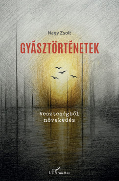 Nagy Zsolt - Gy�szt�rt�netek