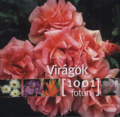 Michel Viard - Vir�gok 1001 fot�n