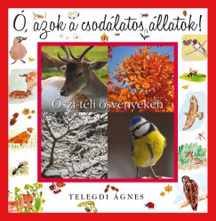 Telegdi �gnes - �, azok a csod�latos �llatok - �szi-t�li �sv�nyeken