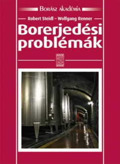 Wolfgang Renner - Robert Steidl - Borerjedsi problmk