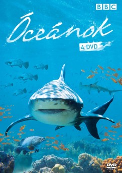 cenok 4. - DVD