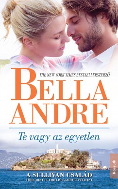 Bella Andre - Te vagy az egyetlen