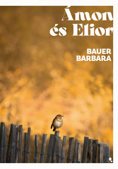 Bauer Barbara - Ámon és Elior