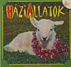 Háziállatok