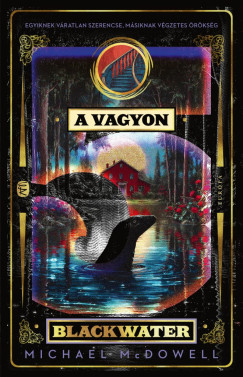 Michael McDowell - A vagyon