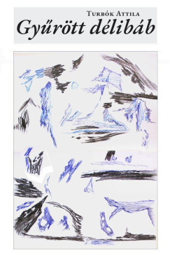 Turbók Attila - Gyűrött délibáb