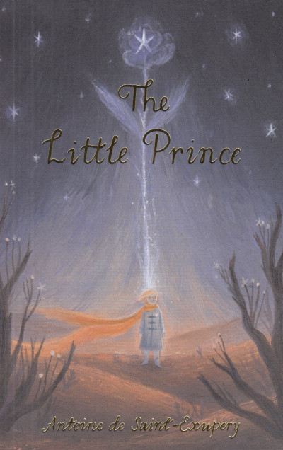Konyv The Little Prince Antoine De Saint Exupery