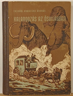 Tasndi-Kubacska Andrs - Kalandozs az svilgban