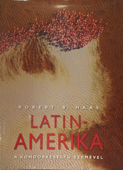 Latin-Amerika a kondorkesely� szem�vel