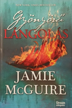 Jamie McGuire - Gyönyörű lángolás
