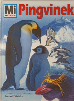 Boris Culik - Pingvinek